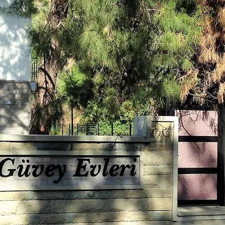 Guvey Homes טורבה